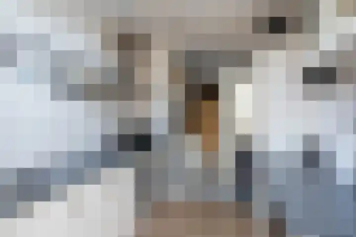 Benedenrijweg 107 Ridderkerk thumbnail 6