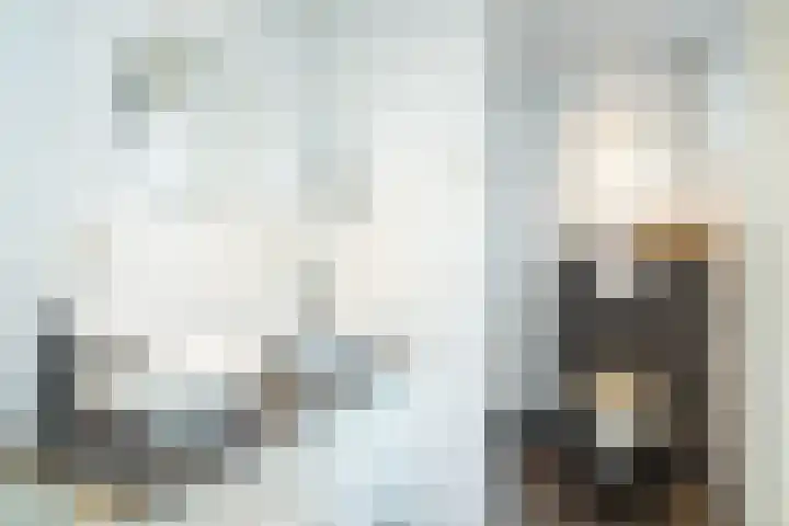 Benedenrijweg 107 Ridderkerk thumbnail 9