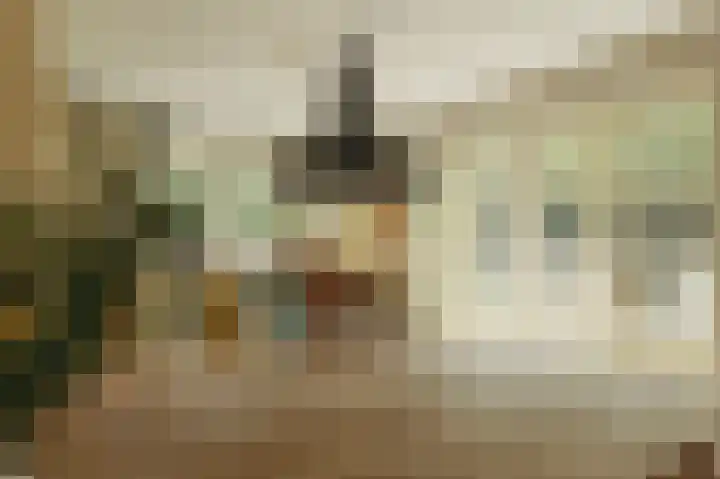 Benedenrijweg 131 Ridderkerk thumbnail 17