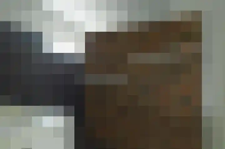 Benedenrijweg 131 Ridderkerk thumbnail 20