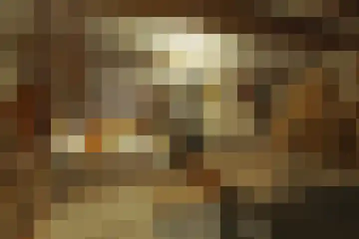 Benedenrijweg 131 Ridderkerk thumbnail 25
