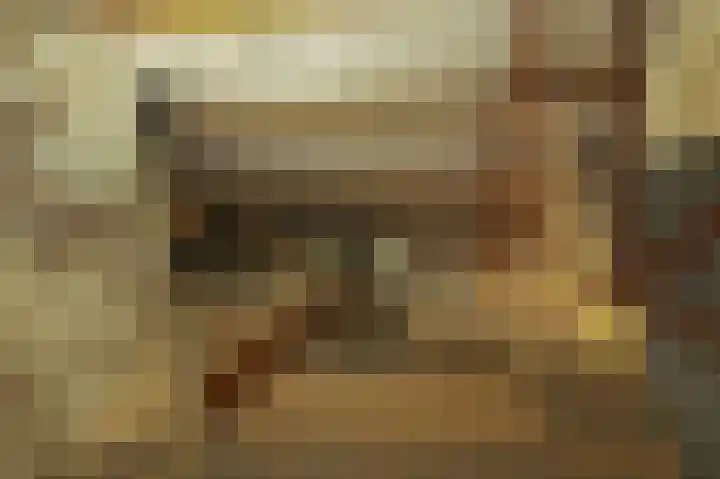 Benedenrijweg 131 Ridderkerk thumbnail 26