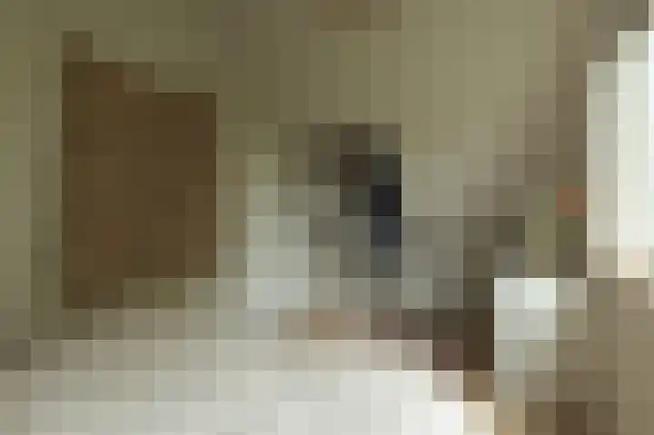 Benedenrijweg 131 Ridderkerk thumbnail 31