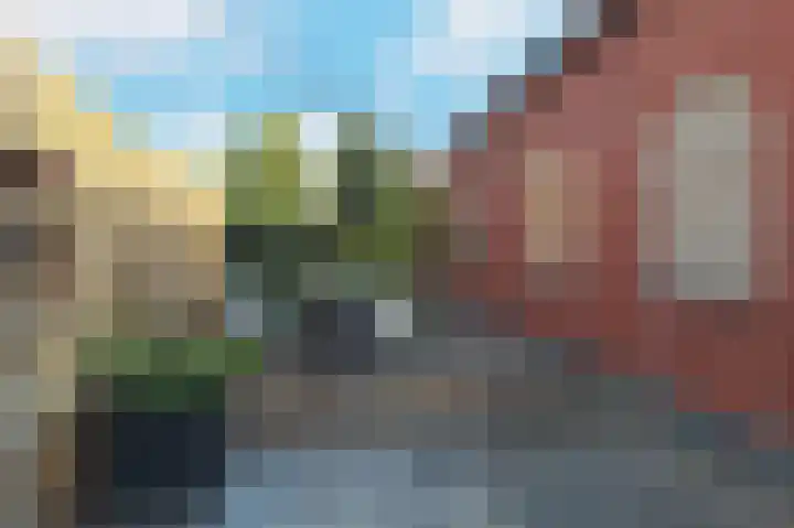 Benedenrijweg 131 Ridderkerk thumbnail 38