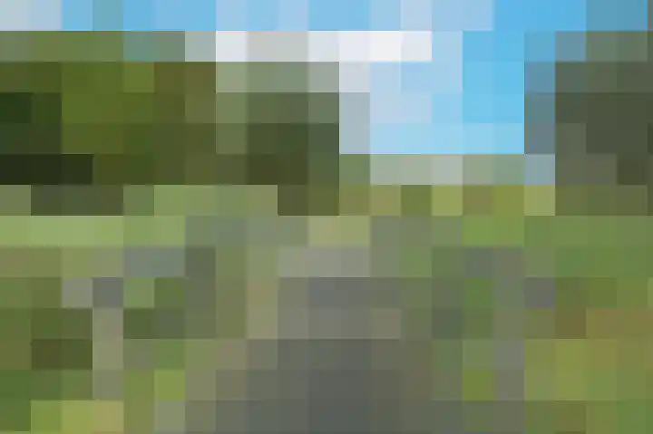 Benedenrijweg 131 Ridderkerk thumbnail 43