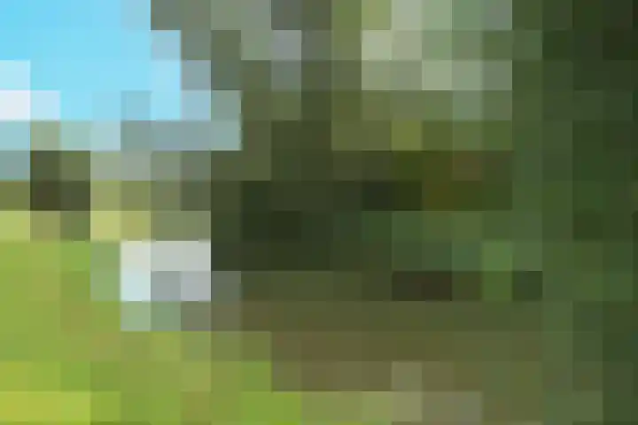 Benedenrijweg 131 Ridderkerk thumbnail 44
