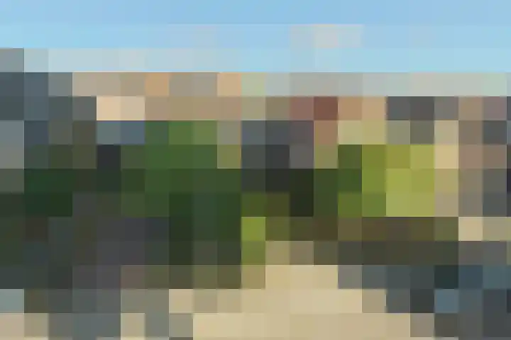 Benedenrijweg 131 Ridderkerk thumbnail 47