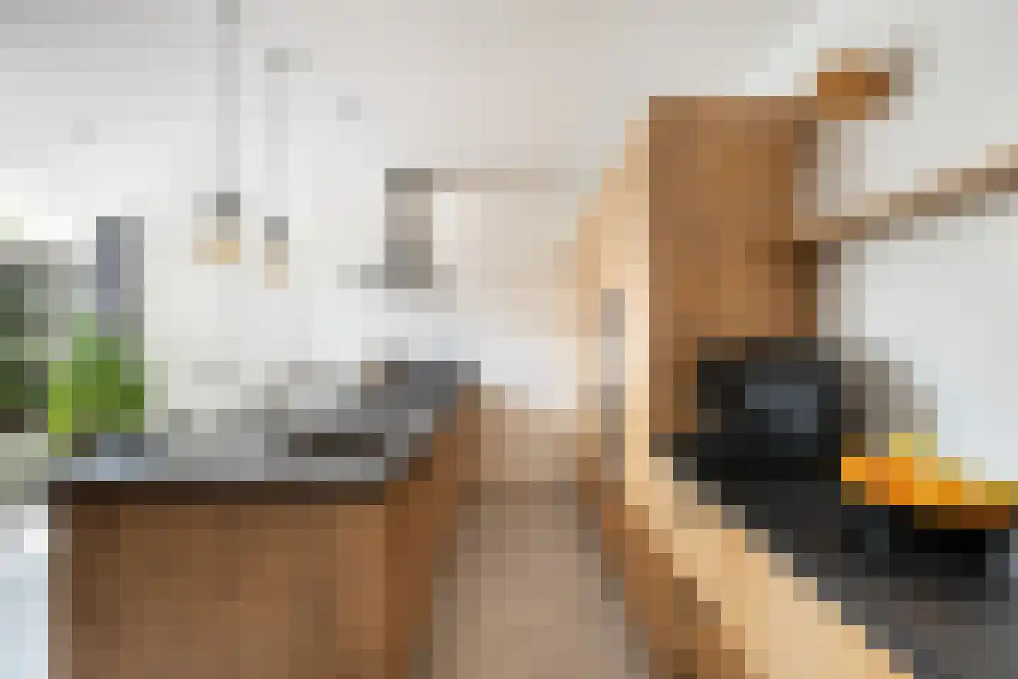 Benedenrijweg 15 Ridderkerk thumbnail 20