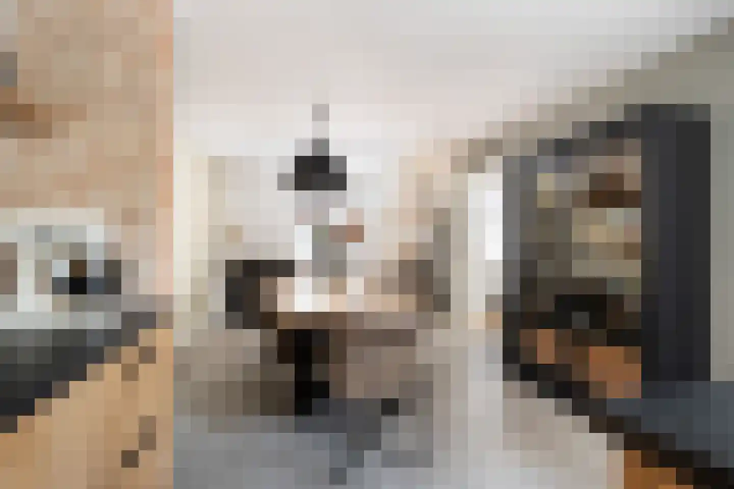 Benedenrijweg 15 Ridderkerk thumbnail 22