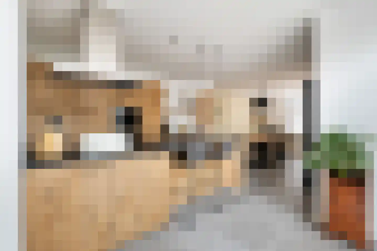 Benedenrijweg 15 Ridderkerk thumbnail 23