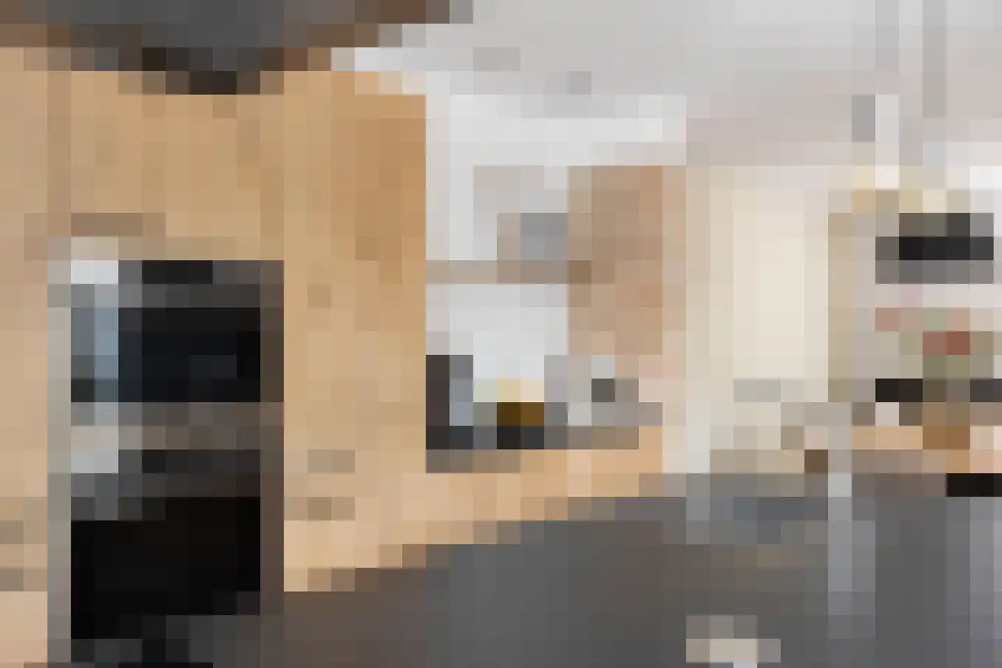 Benedenrijweg 15 Ridderkerk thumbnail 25