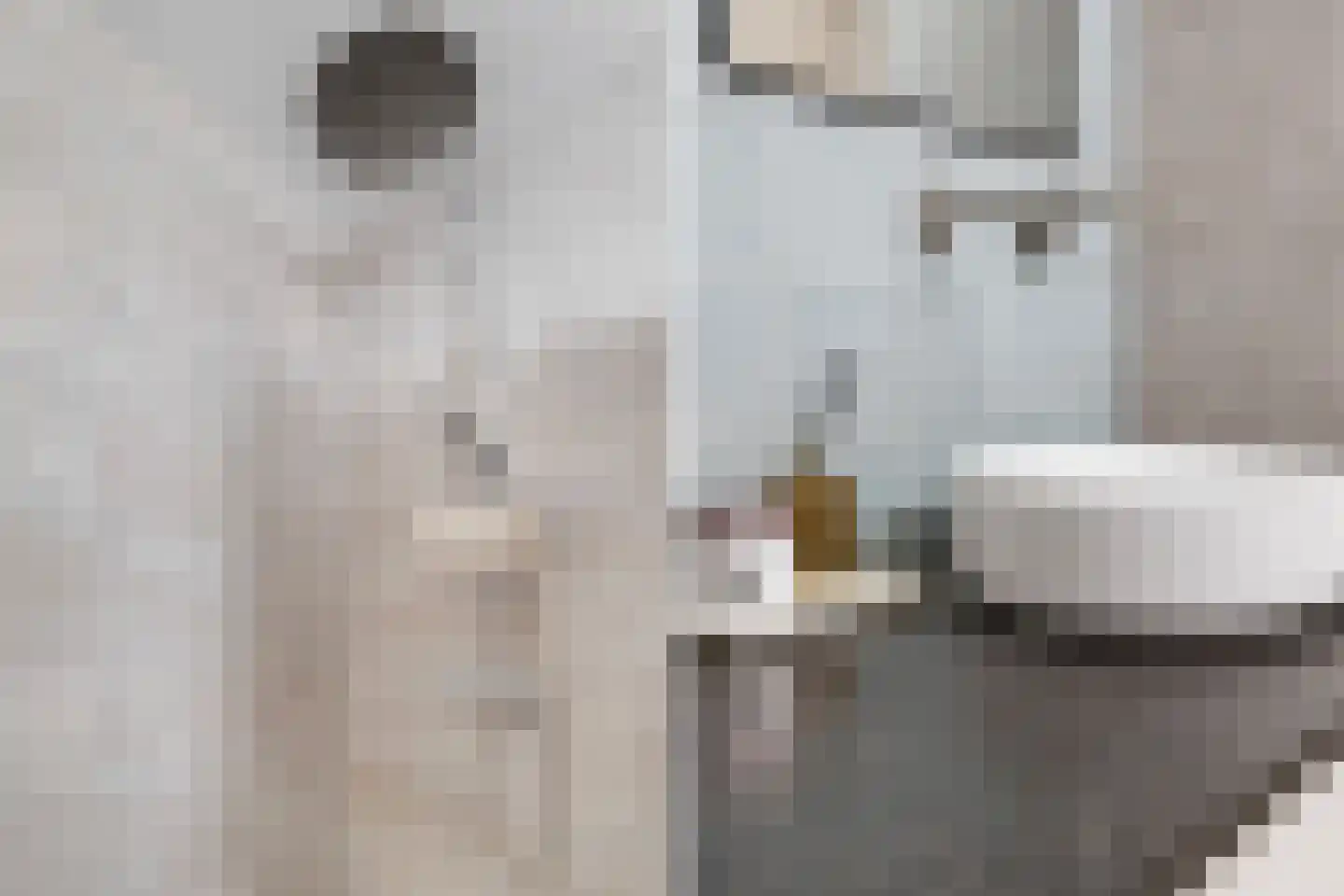 Benedenrijweg 15 Ridderkerk thumbnail 31