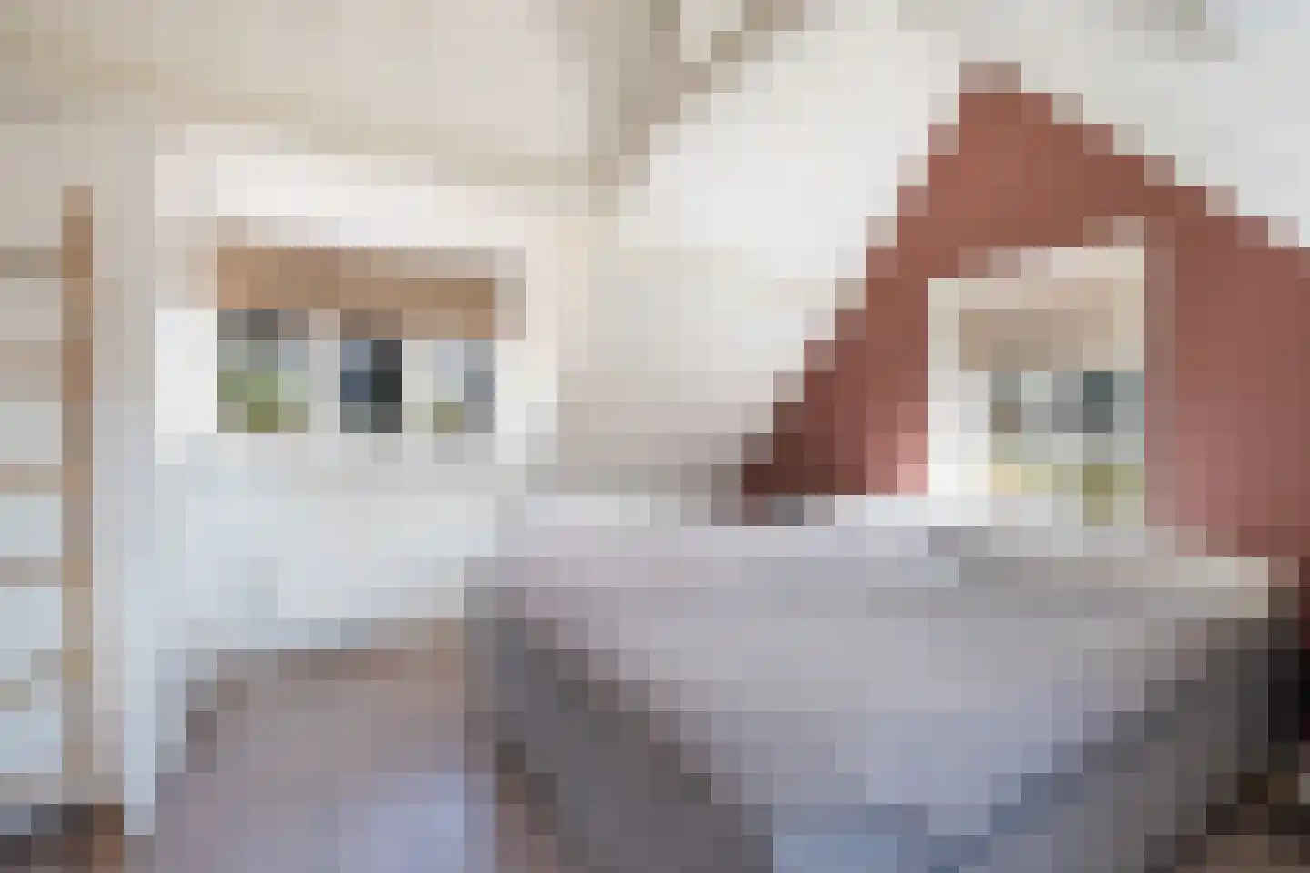 Benedenrijweg 15 Ridderkerk thumbnail 36