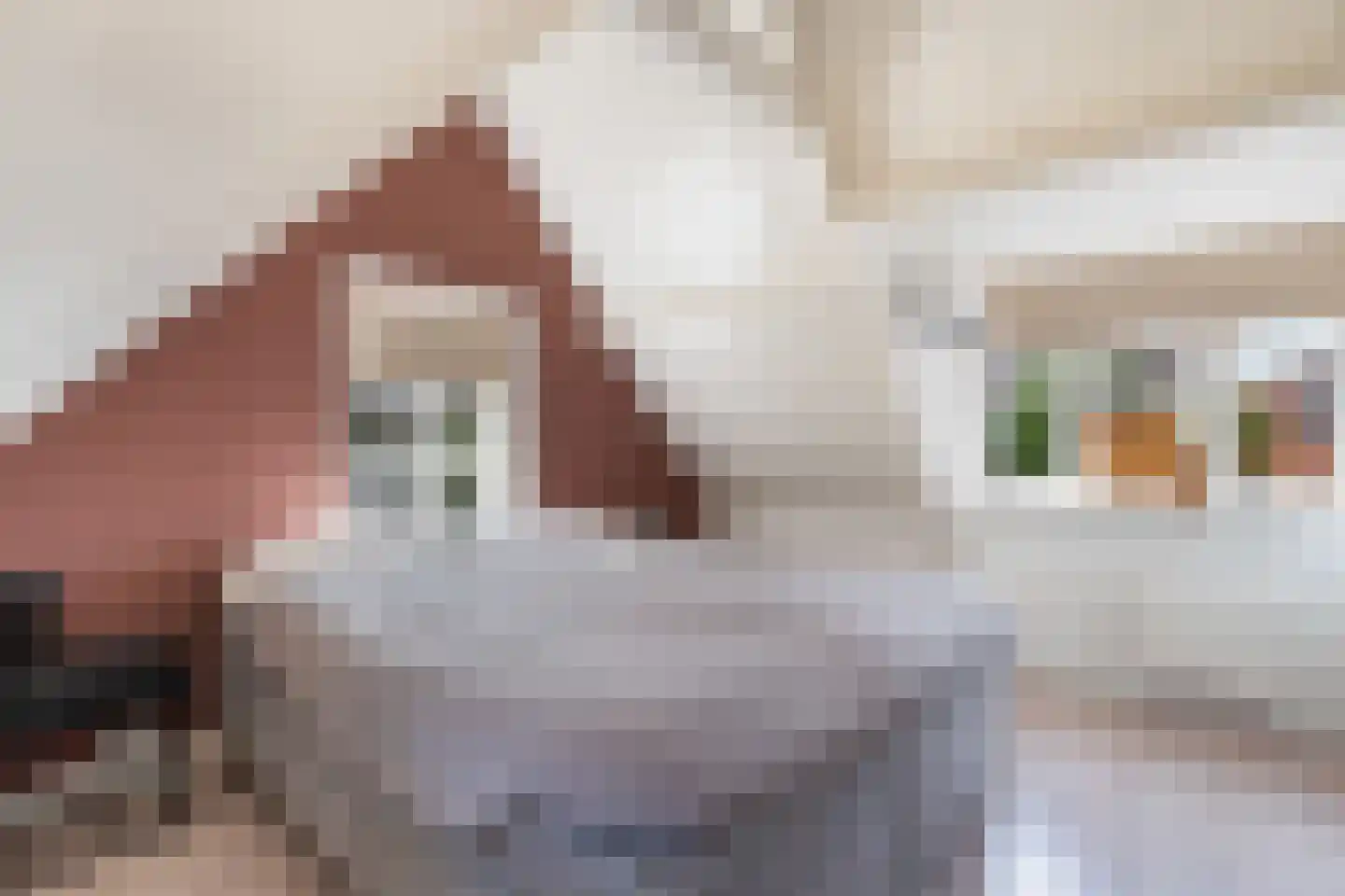 Benedenrijweg 15 Ridderkerk thumbnail 37