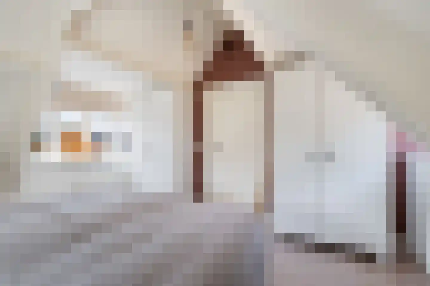 Benedenrijweg 15 Ridderkerk thumbnail 38
