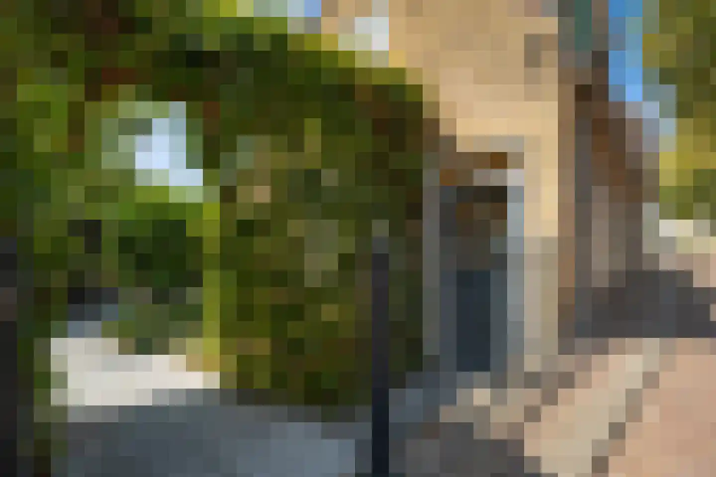 Benedenrijweg 15 Ridderkerk thumbnail 4
