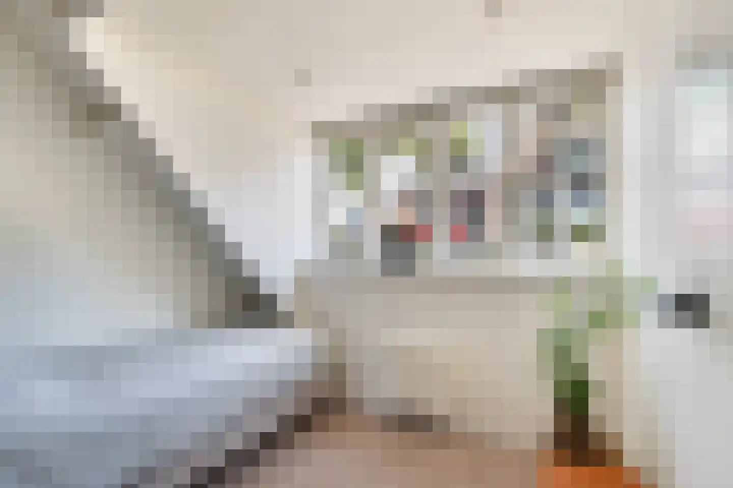 Benedenrijweg 15 Ridderkerk thumbnail 40