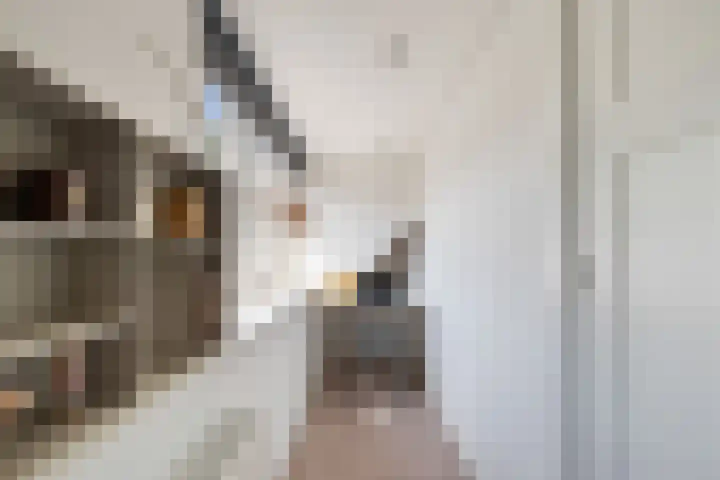 Benedenrijweg 15 Ridderkerk thumbnail 43