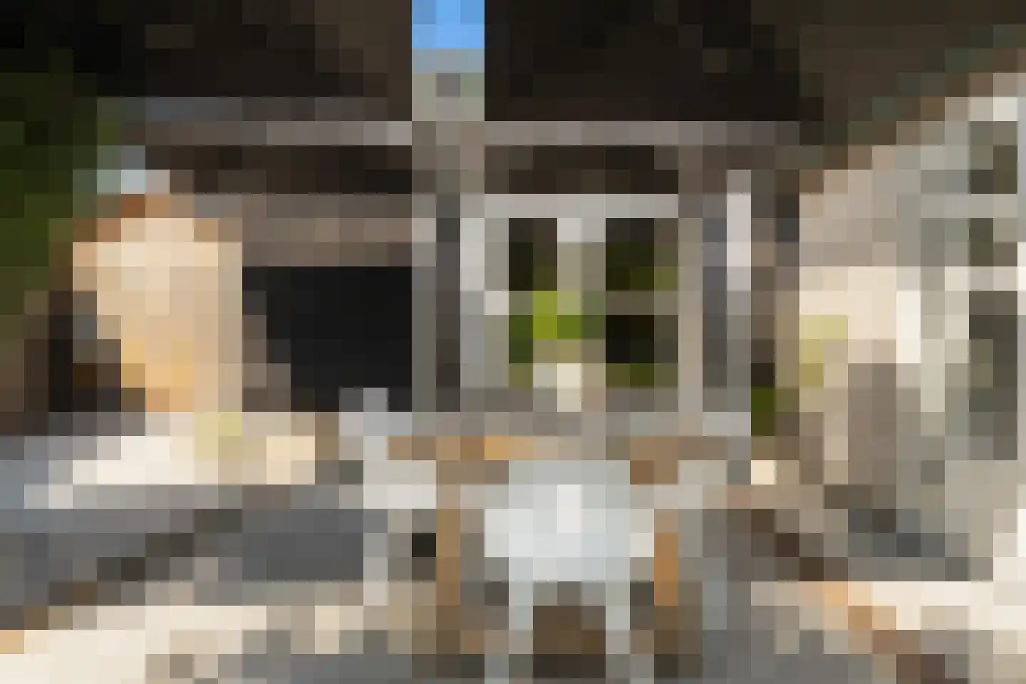 Benedenrijweg 15 Ridderkerk thumbnail 48