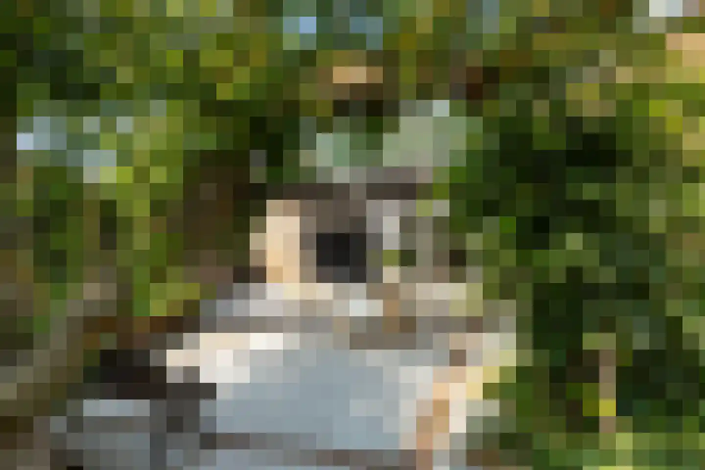 Benedenrijweg 15 Ridderkerk thumbnail 52