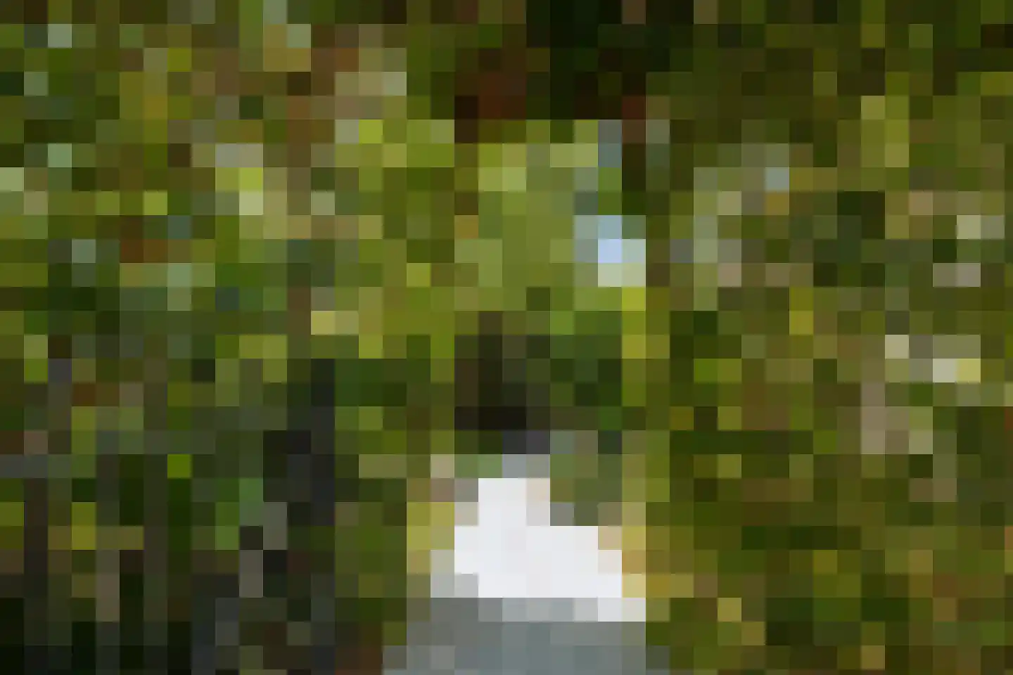 Benedenrijweg 15 Ridderkerk thumbnail 54