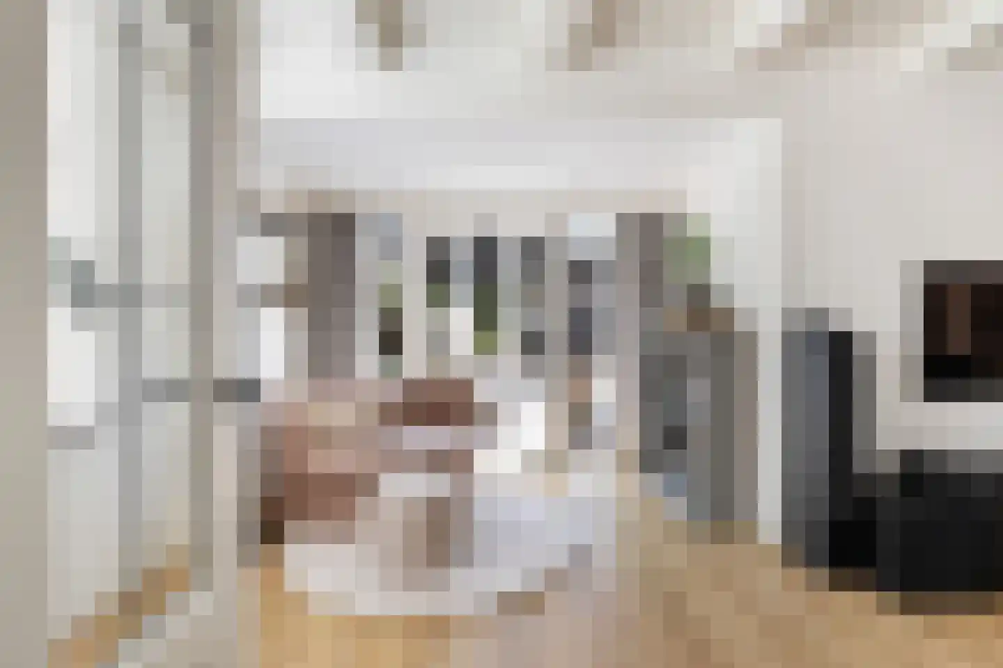 Benedenrijweg 15 Ridderkerk thumbnail 7