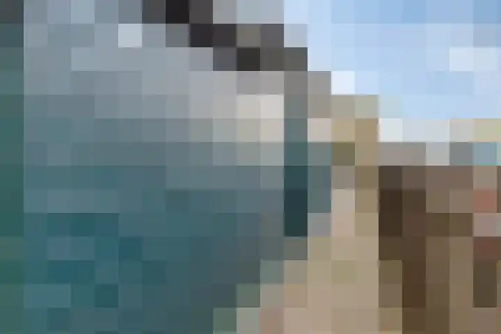 Benedenrijweg 175 Rotterdam thumbnail 7