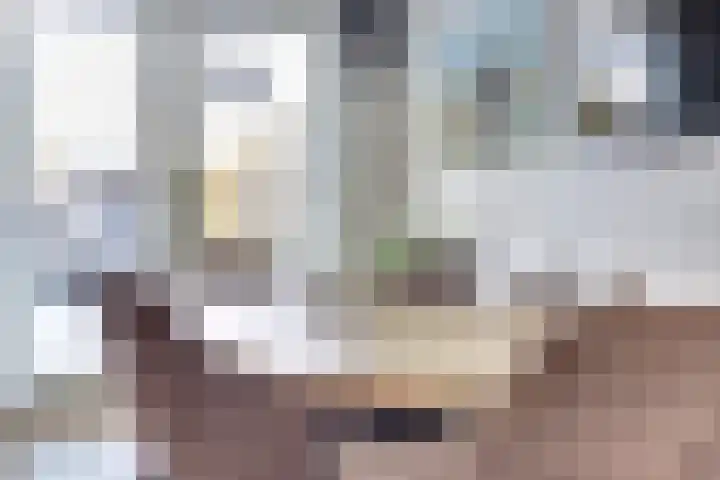 Benedenrijweg 177 Ridderkerk thumbnail 13