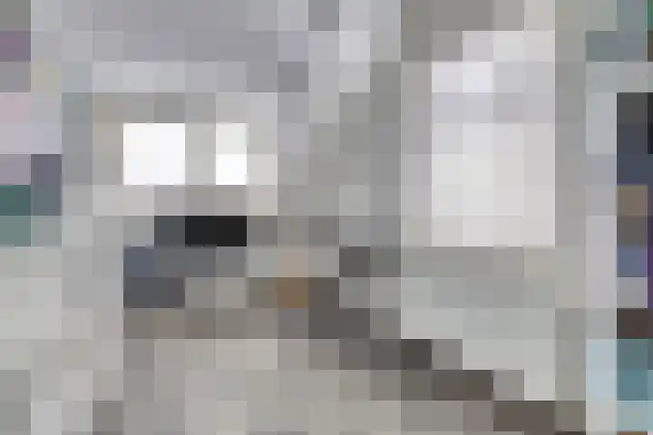 Benedenrijweg 177 Ridderkerk thumbnail 25