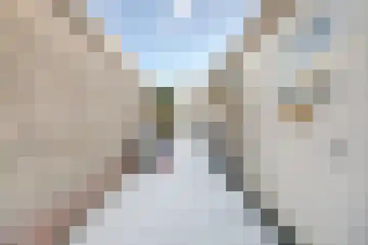 Benedenrijweg 177 Ridderkerk thumbnail 36
