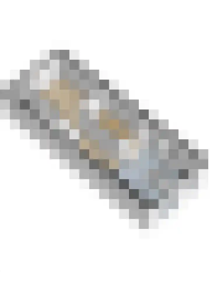Benedenrijweg 177 Ridderkerk thumbnail 47