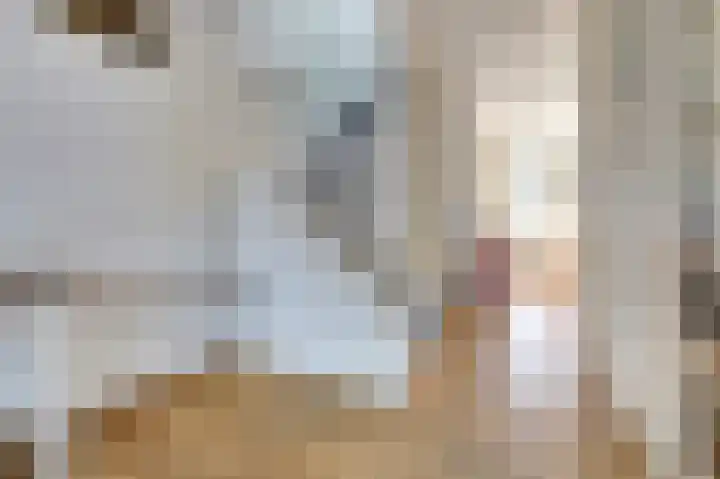 Benedenrijweg 177 Ridderkerk thumbnail 6