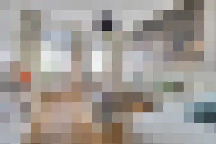 Benedenrijweg 177 Ridderkerk thumbnail 8