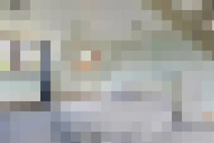 Benedenrijweg 235 Rotterdam thumbnail 18