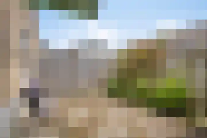 Benedenrijweg 235 Rotterdam thumbnail 23