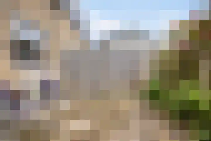 Benedenrijweg 235 Rotterdam thumbnail 24