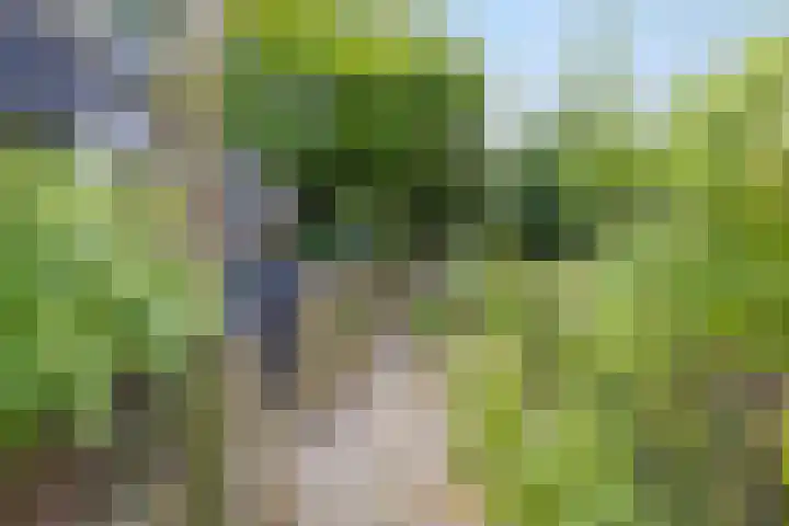 Benedenrijweg 235 Rotterdam thumbnail 26