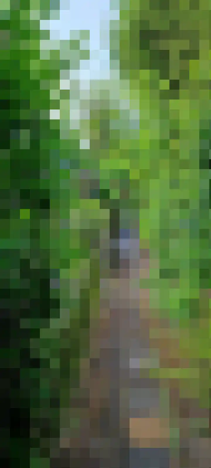 Benedenrijweg 235 Rotterdam thumbnail 27