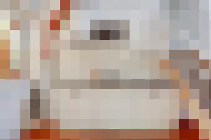 Benedenrijweg 28 Ridderkerk thumbnail 12