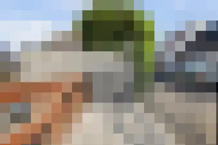 Benedenrijweg 28 Ridderkerk thumbnail 26