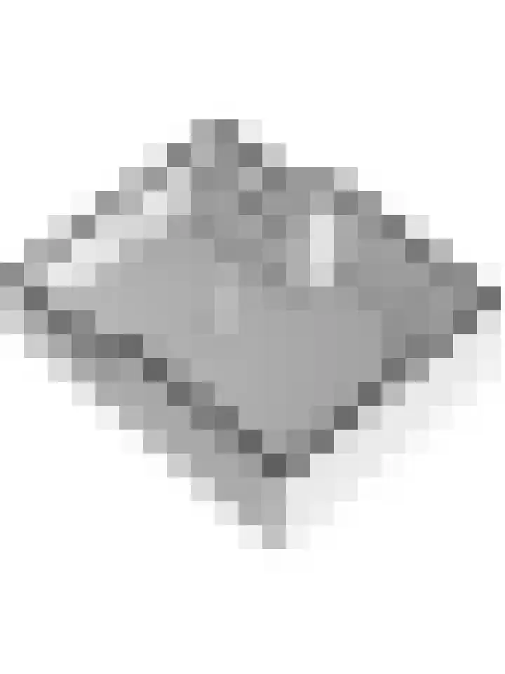 Benedenrijweg 28 Ridderkerk thumbnail 33