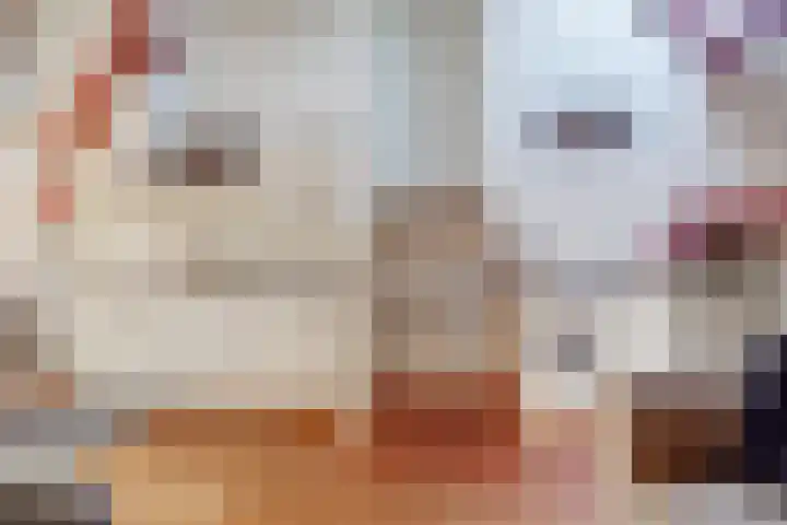 Benedenrijweg 28 Ridderkerk thumbnail 9