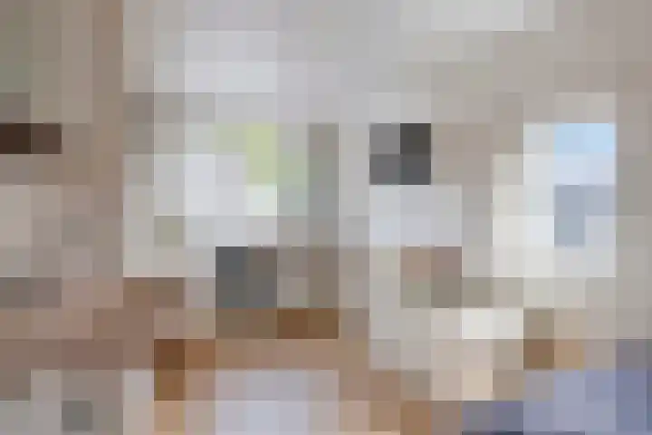 Benedenrijweg 385 Rotterdam thumbnail 12