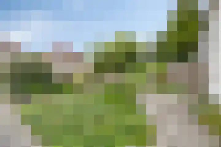 Benedenrijweg 385 Rotterdam thumbnail 19