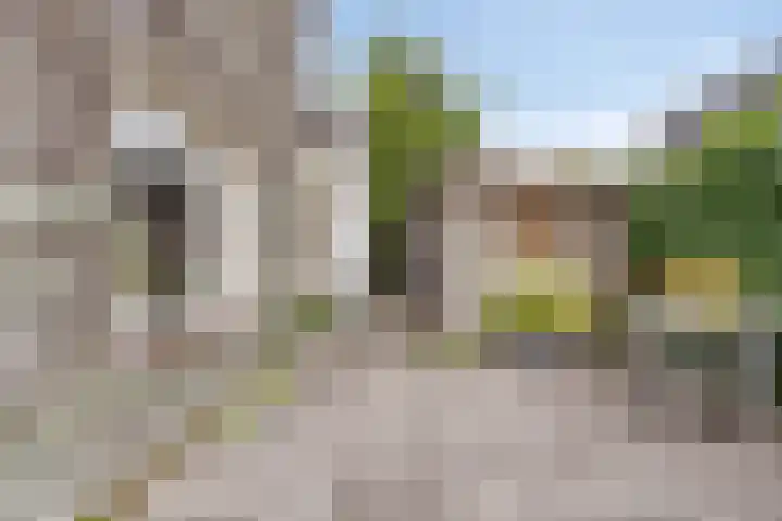 Benedenrijweg 385 Rotterdam thumbnail 4