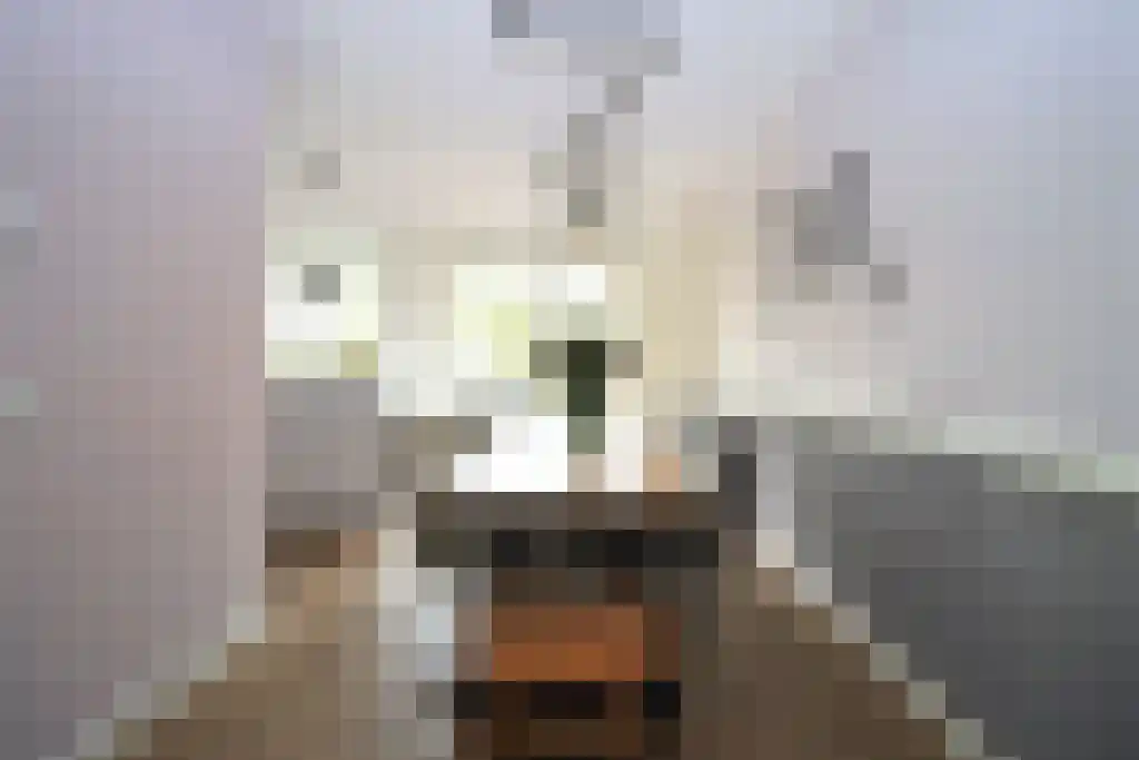 Benedenrijweg 423 Rotterdam thumbnail 4