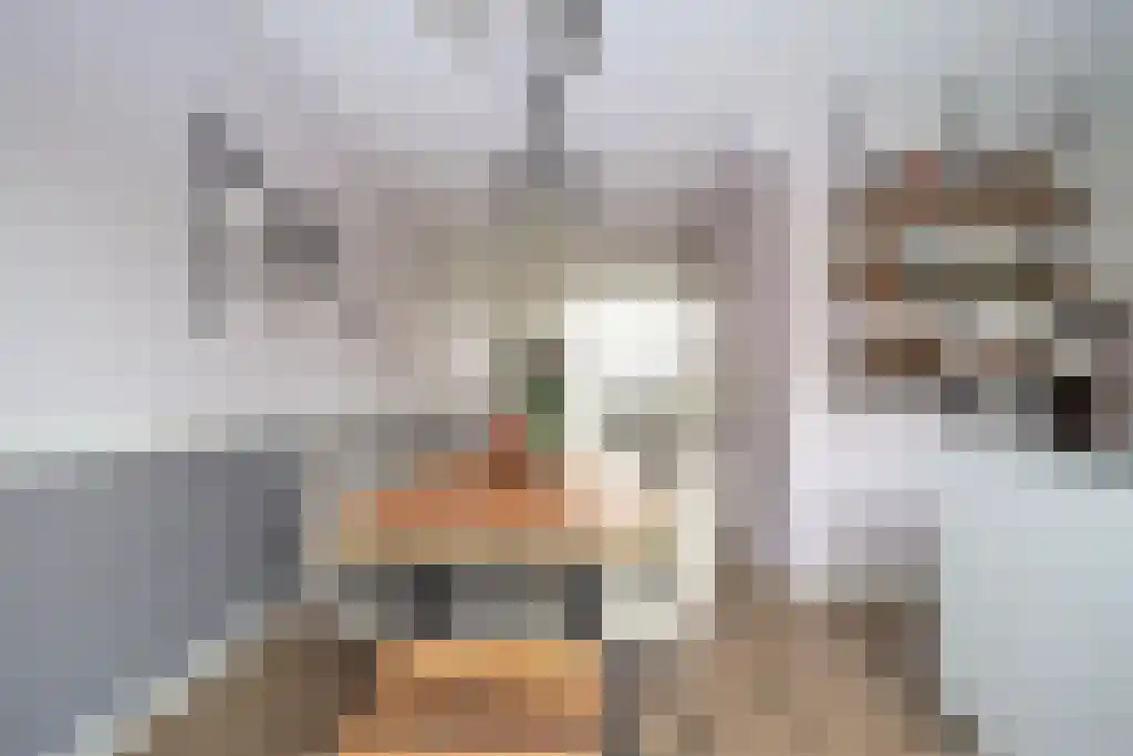 Benedenrijweg 423 Rotterdam thumbnail 5