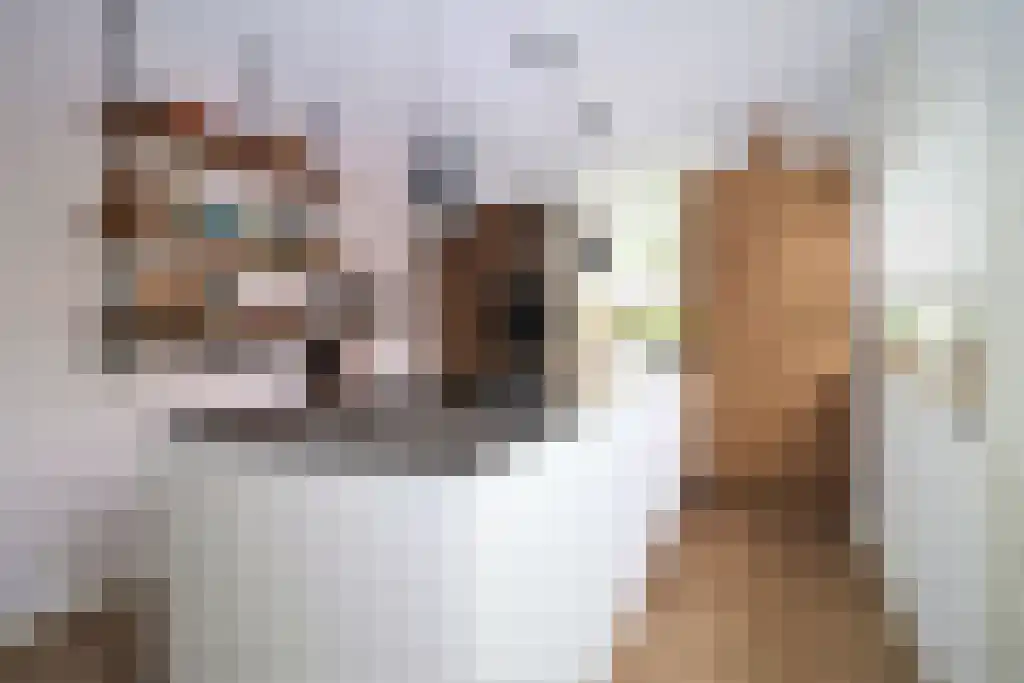 Benedenrijweg 423 Rotterdam thumbnail 6