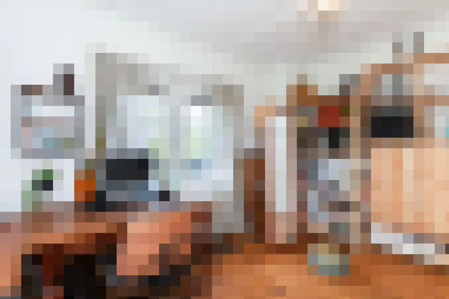 Benedenrijweg 43 Ridderkerk thumbnail 24