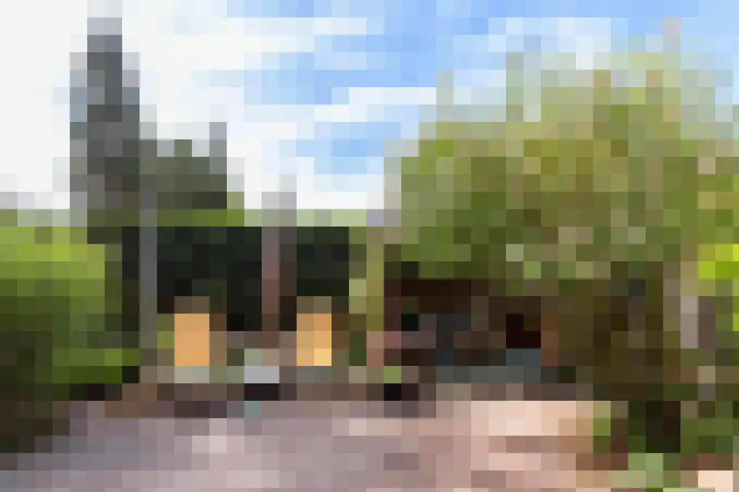 Benedenrijweg 43 Ridderkerk thumbnail 33
